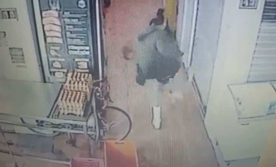 VIDEO: Sujeto mata a golpes a un gatito en un mercado; le dicen ‘El Cuba’