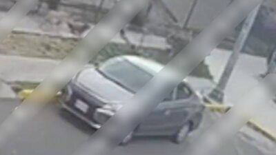 VIDEO: Sujeto da golpiza a una mujer que paseaba a unos perritos