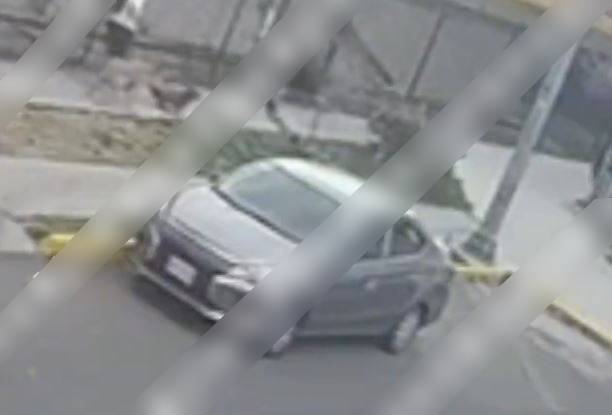 VIDEO: Sujeto da golpiza a una mujer que paseaba a unos perritos