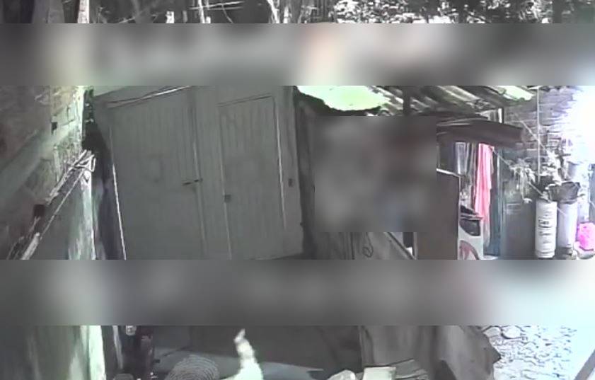VIDEO: ‘¡Ayúdenme, por favor!’; graban brutal ataque de perros pitbull contra una mujer