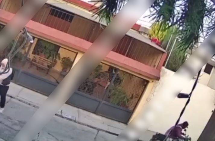 VIDEO: Mujer se aferra a su bolso mientras lucha contra un asaltante