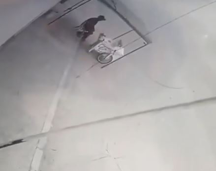 VIDEO: Don Nicolás vendía taquitos cuando un borracho al volante lo mató