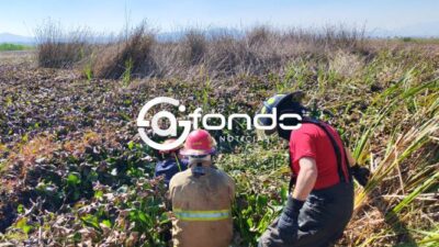 TERRIBLE. Don Pedro desapareció desde antes de Año Nuevo y lo encontraron muerto junto a su bici