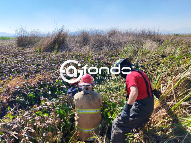 TERRIBLE. Don Pedro desapareció desde antes de Año Nuevo y lo encontraron muerto junto a su bici