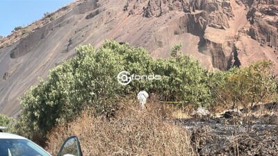 ÚLTIMA HORA. Abandonan el cuerpo de bebé recién nacido dentro de una mochila colgada en un árbol