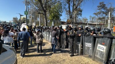 URGENTE: Despliegan operativo de rescate de perros en un refugio con problemas legales