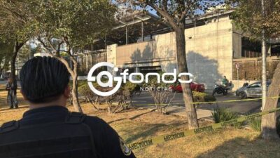 URGENTE: Sujeto arranca toda la piel a un perrito indefenso y lo mata