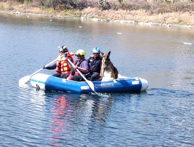VIDEO: Perrito estaba en peligro y lo rescatan con un bote en una presa de Edomex
